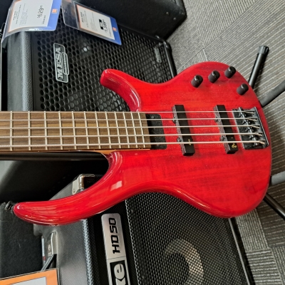 Toby Deluxe V 5 string Bass 2